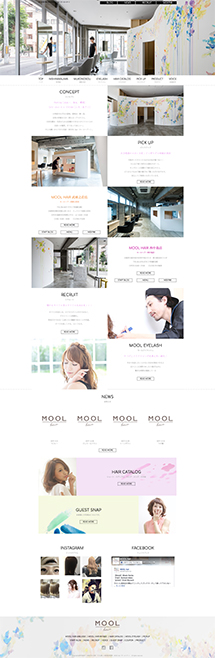 MOOL hairの保存されたLP画像