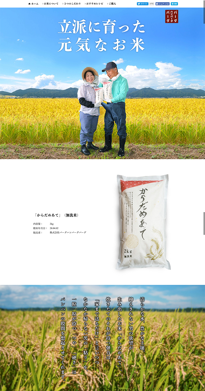 立派に育った元気なお米 からだめあての保存されたLP画像