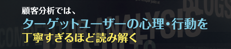 顧客分析では、ターゲットユーザーの心理・行動を
                            丁寧すぎるほど読み解く