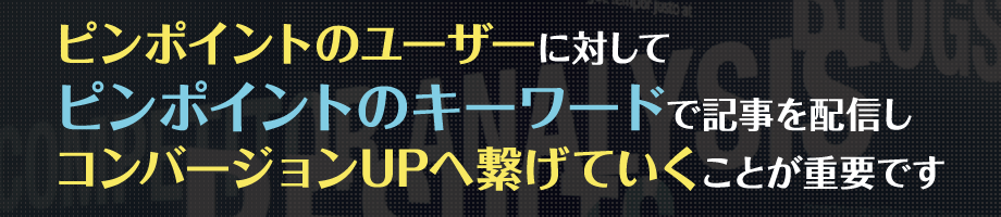 ピンポイントのユーザーに対して、ピンポイントのキーワードで
                            記事を配信しコンバージョンUPへ繋げていくことが重要です