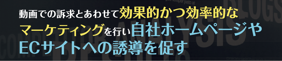 動画での訴求とあわせて効果的かつ効率的なマーケティングを行い
                                自社ホームページやECサイトへの誘導を促す